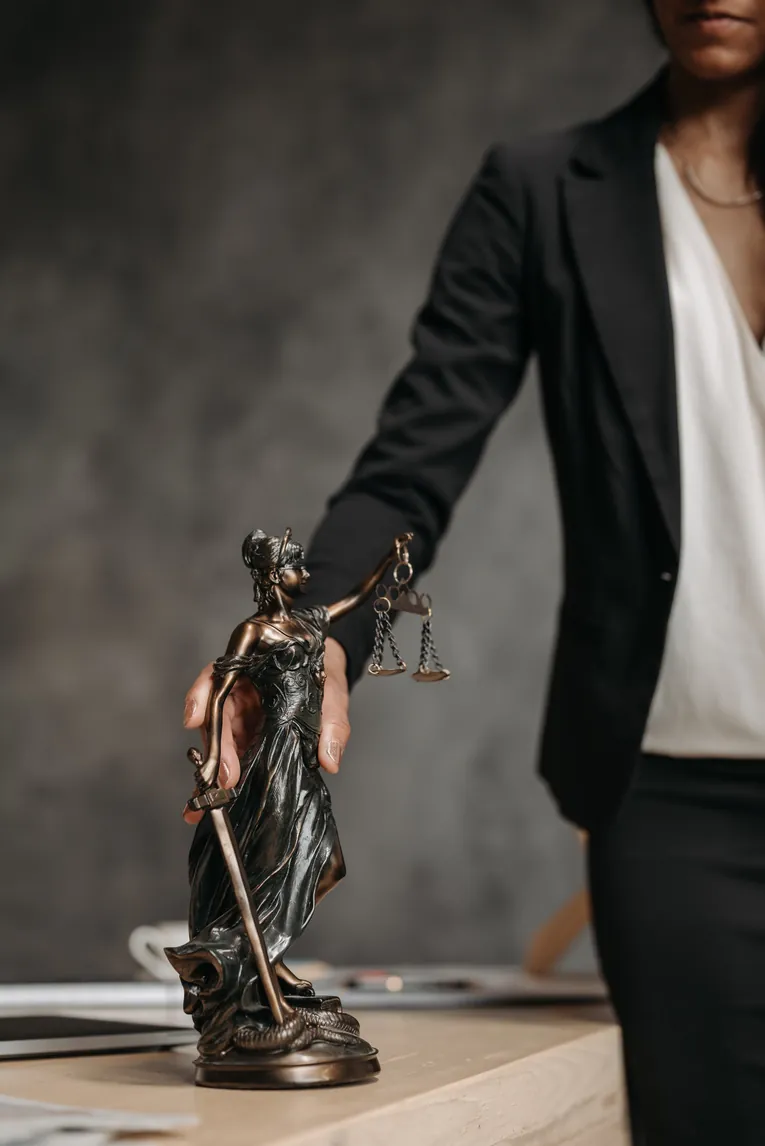 Litigio y Derecho Procesal